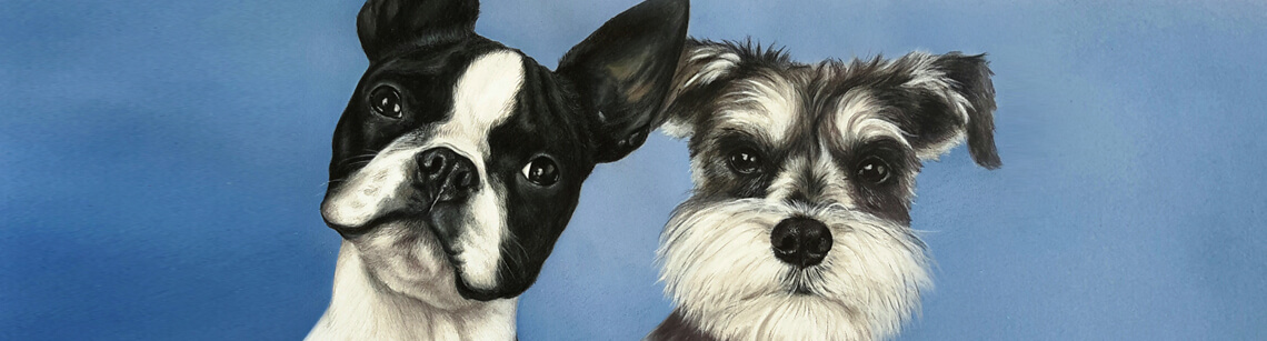 Contact Realistic Pet Portraits from photos artist Daniele Jones