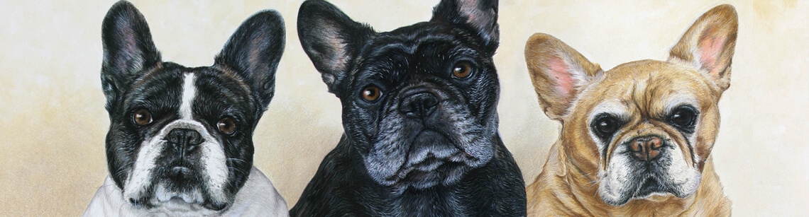 Order Realistic Pet Portraits from photos