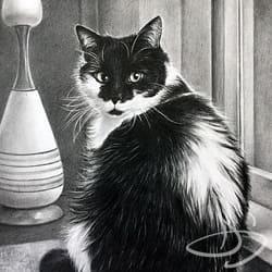 Cat portrait in Mid-Century Modern House