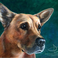 Short Haired Chow Dog Portrait Painting