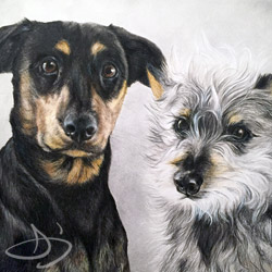 Dog couple Portrait in Colored Pencil