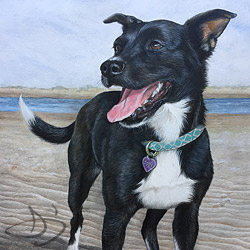 Fran -  dog portrait from McMillan, Philadelphia and Richmond, Virginia