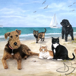 color portrait all the family pets in Venice, Florida on the beach