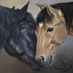 Double Horse Portrait Drawing