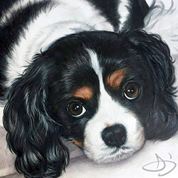  Cavalier King Charles Spaniel Dog Portrait Painting