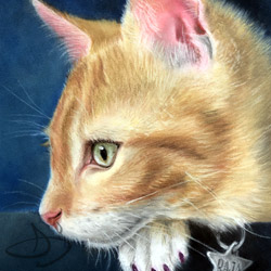 Kitten painting of Raja from Florida