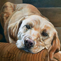 Yellow Labrador Dog Portrait Painting
