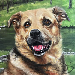 Dog portrait from North Carolina