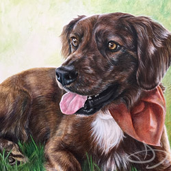 Dog Portrait from Richmond, VA